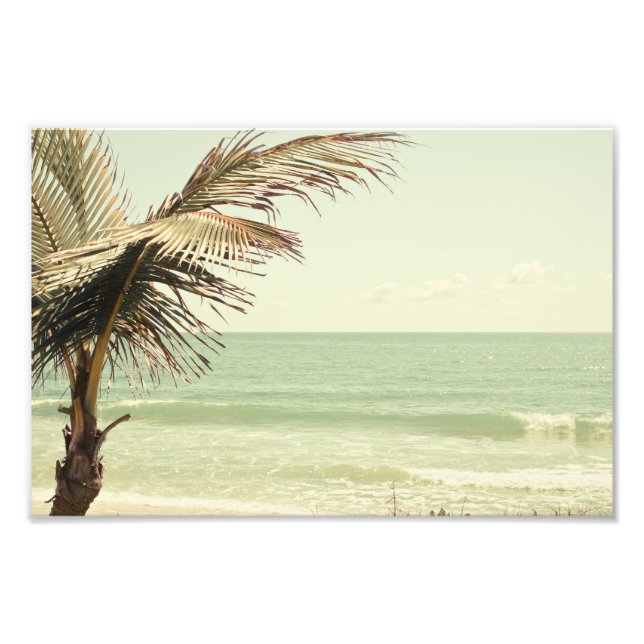 Coconut Palm and Pastel Beach Photography Photo Print (Front)