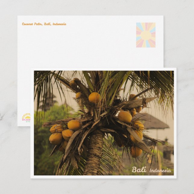 Coconut Palm, Bali Indonesia - Travel Postcard (Front/Back)