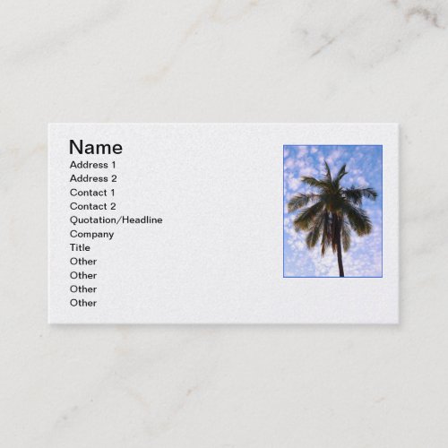 Coconut Palm Business Card Template
