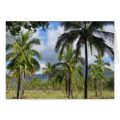 Coconut Palm Forest (Front Horizontal)