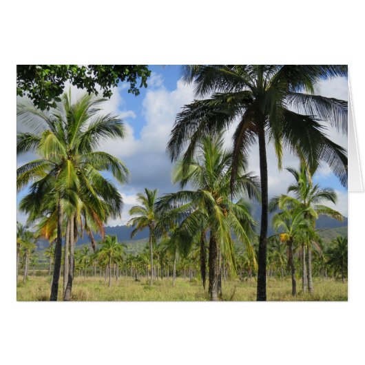Coconut Palm Forest Cards (Front Horizontal)