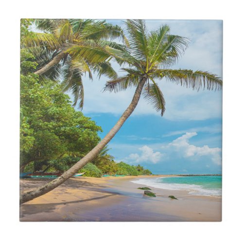 Coconut Palm Mirissa Beach  Sri Lanka Ceramic Tile