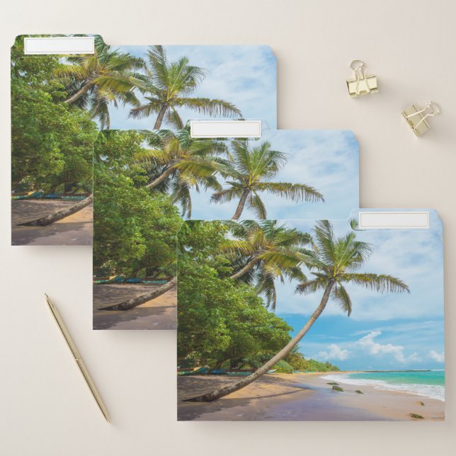 Coconut Palm, Mirissa Beach | Sri Lanka File Folder (Set)