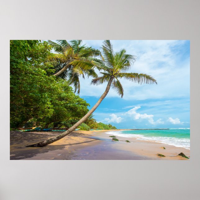 Coconut Palm, Mirissa Beach | Sri Lanka Poster (Front)