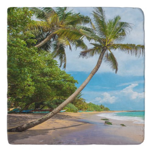 Coconut Palm Mirissa Beach  Sri Lanka Trivet