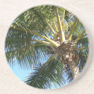 Coconut Palm Tree Drink Coaster