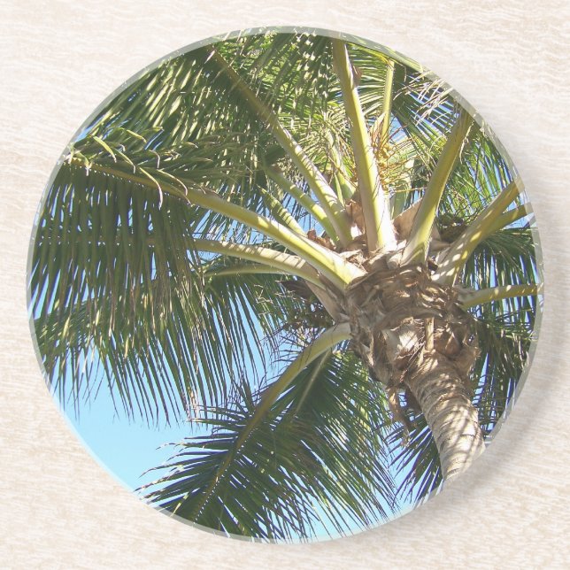Coconut Palm Tree Drink Coaster (Front)