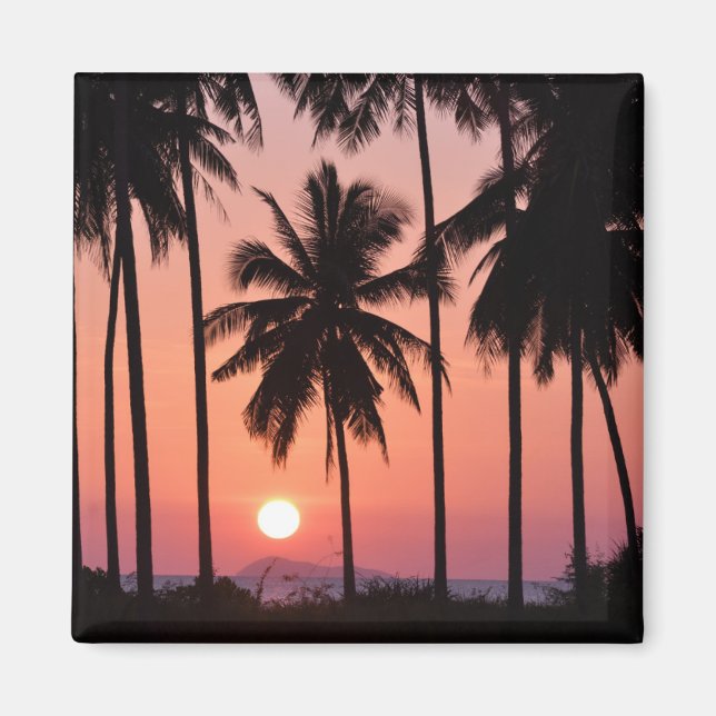 Coconut Palm Tree Landscape Magnet (Front)