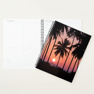 Coconut Palm Tree Landscape Planner