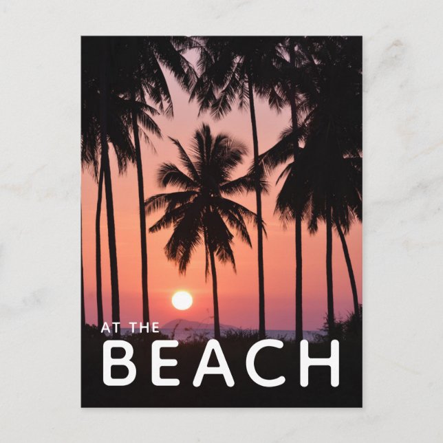 Coconut Palm Tree Landscape Postcard (Front)