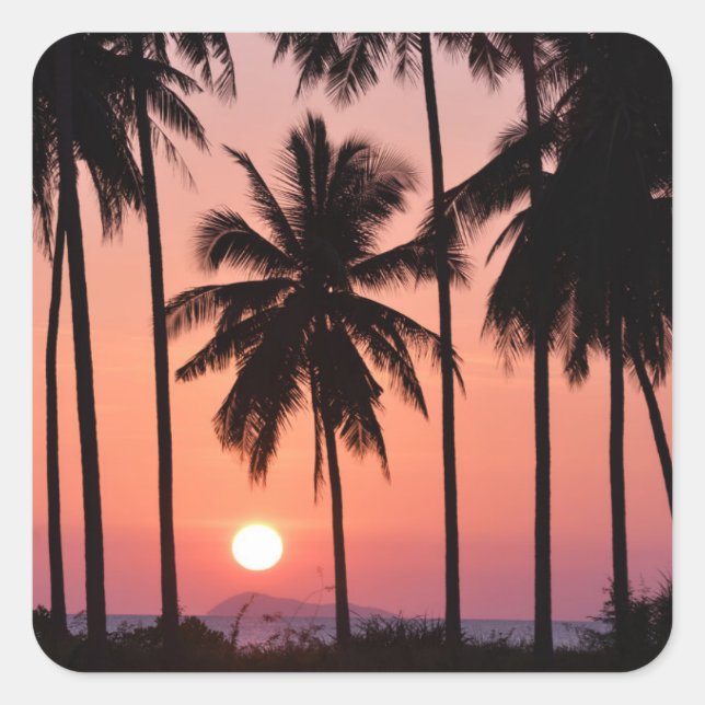 Coconut Palm Tree Landscape Square Sticker (Front)