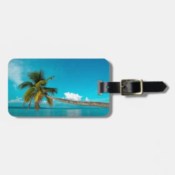 Coconut Palm Tree On Tropical Paradise Beach Luggage Tag by PKphotos at Zazzle