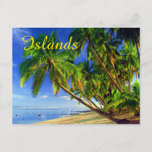 Coconut Palm Tree Sandy Tropical Island Beach Postcard