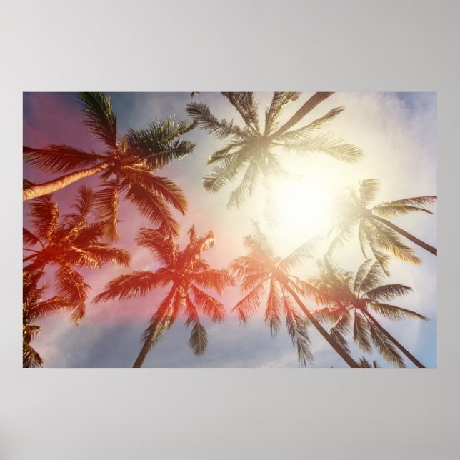 Coconut Palm Trees Against the Sun Poster (Front)