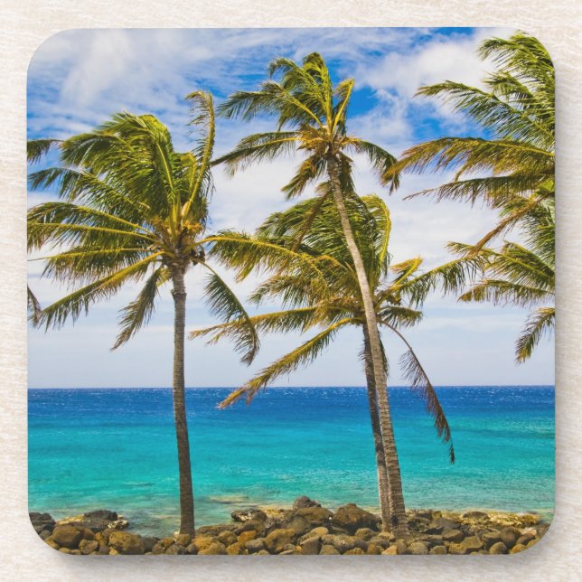 Coconut palm trees (Cocos nucifera) swaying in Beverage Coaster (Front)