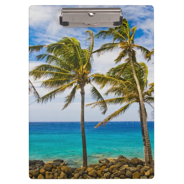 Coconut palm trees (Cocos nucifera) swaying in Clipboard (Front)