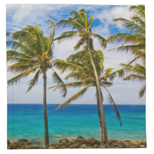 Coconut palm trees (Cocos nucifera) swaying in Cloth Napkin
