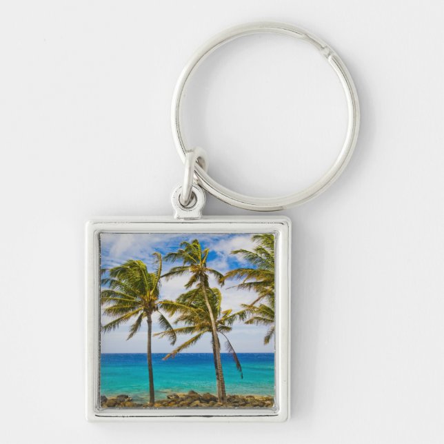 Coconut palm trees (Cocos nucifera) swaying in Keychain (Front)