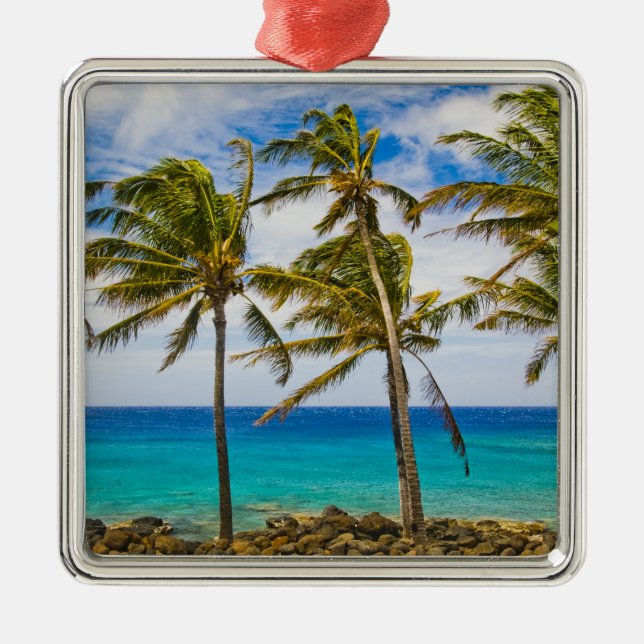 Coconut palm trees (Cocos nucifera) swaying in Metal Ornament (Front)