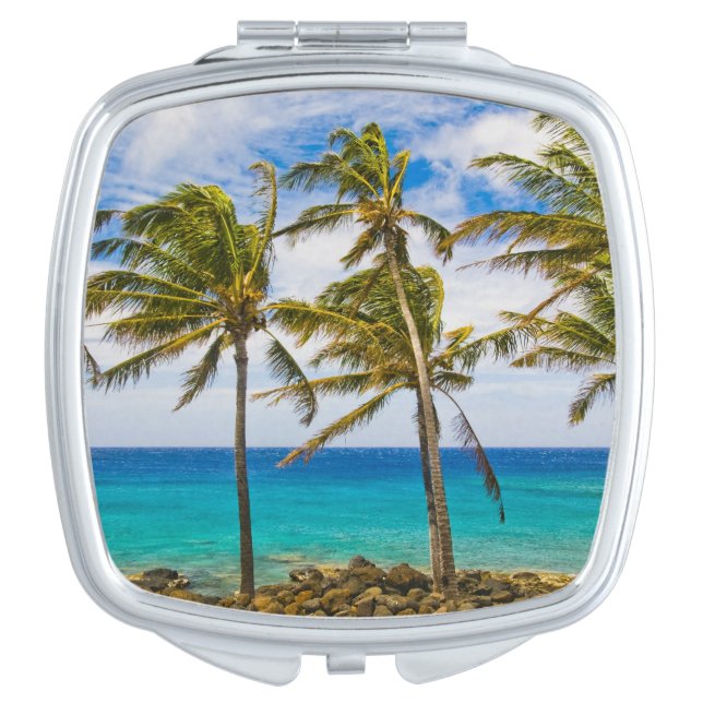 Coconut palm trees (Cocos nucifera) swaying in Mirror For Makeup (Front)