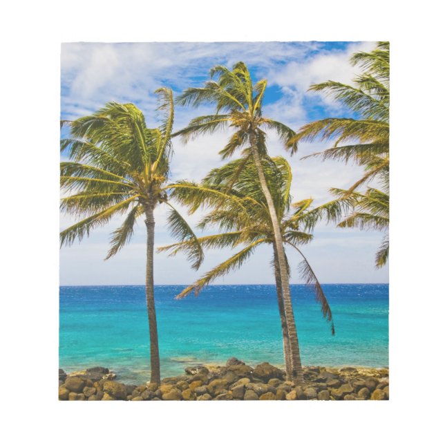 Coconut palm trees (Cocos nucifera) swaying in Notepad (Front)
