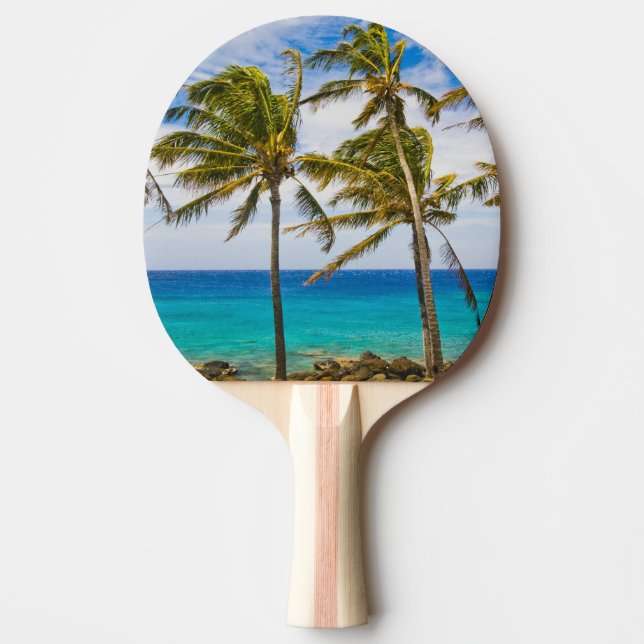 Coconut palm trees (Cocos nucifera) swaying in Ping-Pong Paddle (Front)