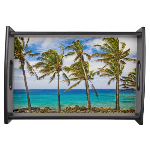 Coconut palm trees Cocos nucifera swaying in Serving Tray