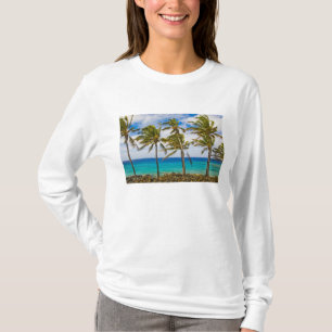 Coconut palm trees (Cocos nucifera) swaying in T-Shirt