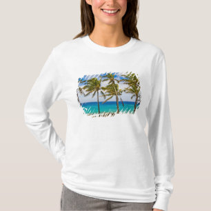 Coconut palm trees (Cocos nucifera) swaying in T-Shirt