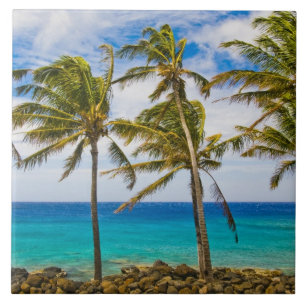 Coconut palm trees (Cocos nucifera) swaying in Tile