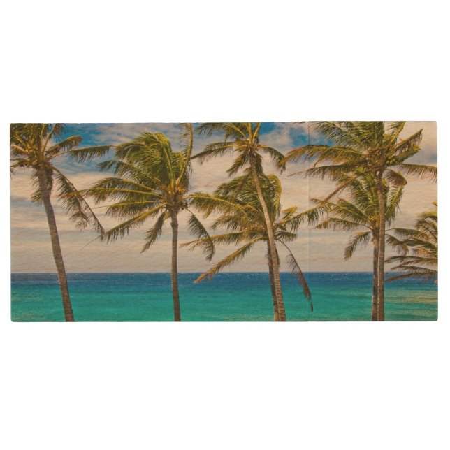 Coconut palm trees (Cocos nucifera) swaying in Wood Flash Drive (Front)