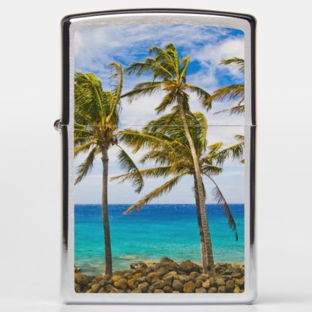 Coconut Palm Trees (cocos Nucifera) Swaying In Zippo Lighter