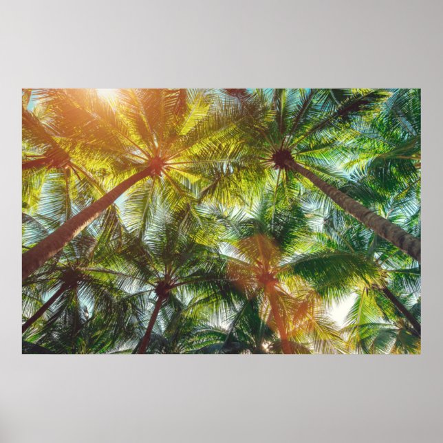 Coconut Palm trees on the Beach Poster (Front)