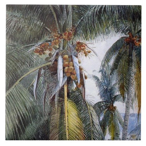 Coconut Palms Key West Florida Ceramic Tile