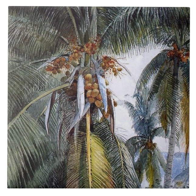 Coconut Palms, Key West, Florida, Ceramic Tile (Front)