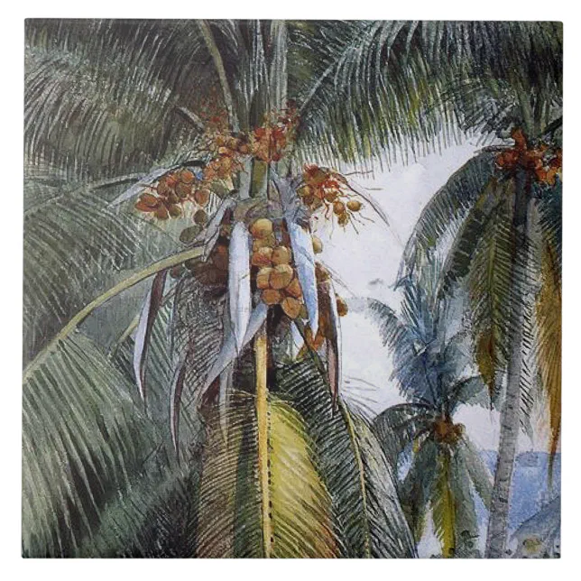Coconut Palms, Key West, Florida, Ceramic Tile Zazzle