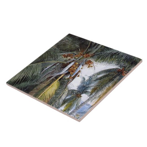 Coconut Palms, Key West, Florida, Ceramic Tile Zazzle