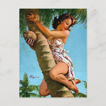 Coconut Pin Up Postcard by Vintage_Art_Boutique at Zazzle