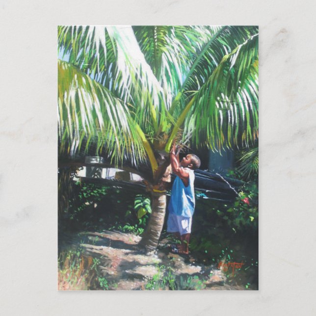 Coconut Shade 2014 Postcard (Front)