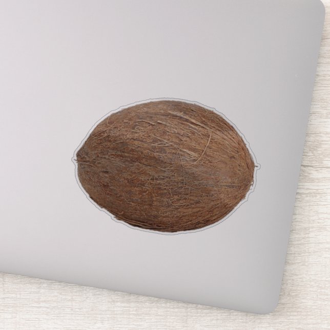 Coconut Sticker | Zazzle