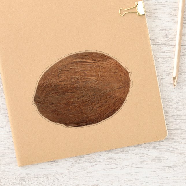 Coconut Sticker | Zazzle