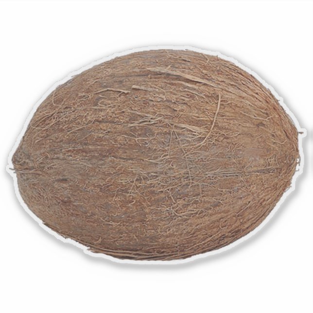 Coconut Sticker | Zazzle