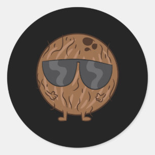 Coconut Summer Fruit Coconut With Sunglasses Love Classic Round Sticker