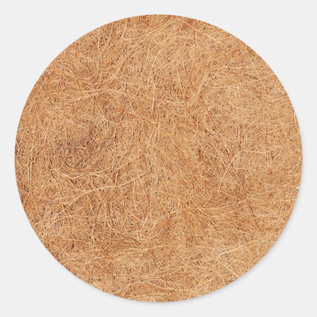 Coconut texture classic round sticker (Front)