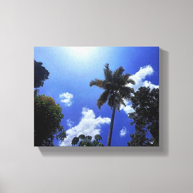 Coconut tree and sky canvas print (Front)