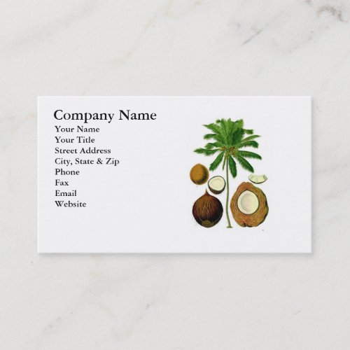 Coconut Tree Botanical Illustration Business Card