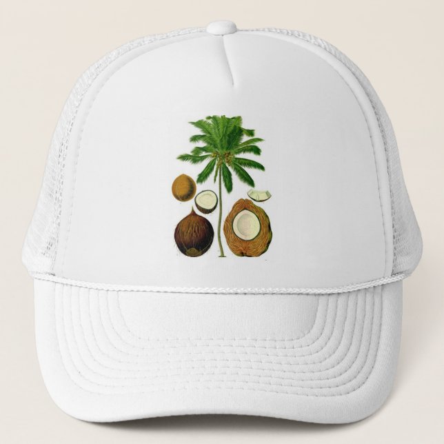 Coconut Tree Botanical Illustration Trucker Hat (Front)