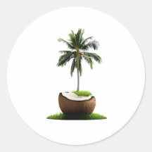 Coconut Tree Fruit