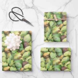 Coconut Tropical Fruit Pattern