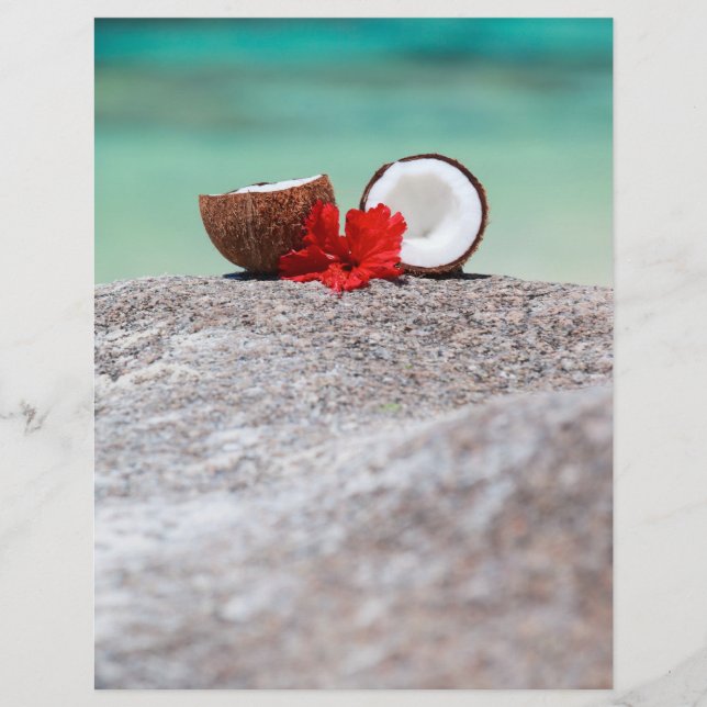 Coconut with tropical flower on exotic coast flyer (Front)
